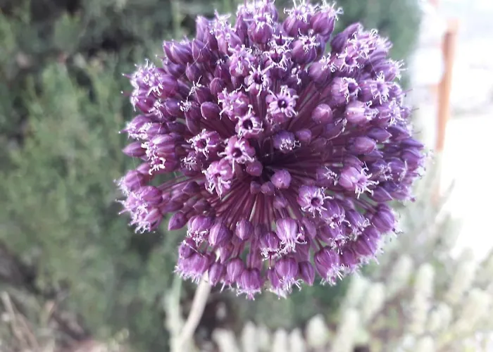 Paros Traditional Windmill In Lefkes Дом отдыха Lefkes (Paros)